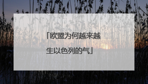 欧盟为何越来越生以色列的气