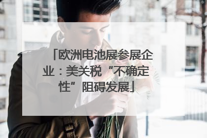 欧洲电池展参展企业：美关税“不确定性”阻碍发展