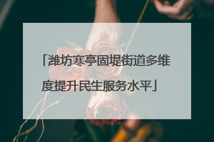 潍坊寒亭固堤街道多维度提升民生服务水平