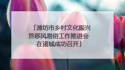 潍坊市乡村文化振兴暨移风易俗工作推进会在诸城成功召开