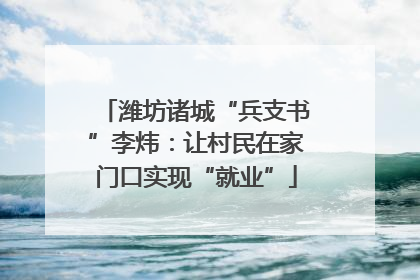 潍坊诸城“兵支书”李炜：让村民在家门口实现“就业”