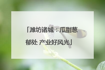 潍坊诸城：瓜甜葱郁处 产业好风光