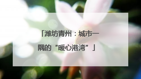 潍坊青州：城市一隅的“暖心港湾”