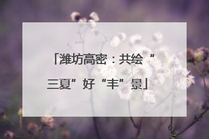 潍坊高密：共绘“三夏”好“丰”景