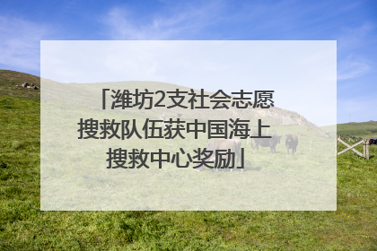 潍坊2支社会志愿搜救队伍获中国海上搜救中心奖励