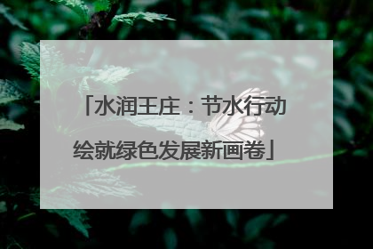 水润王庄：节水行动绘就绿色发展新画卷