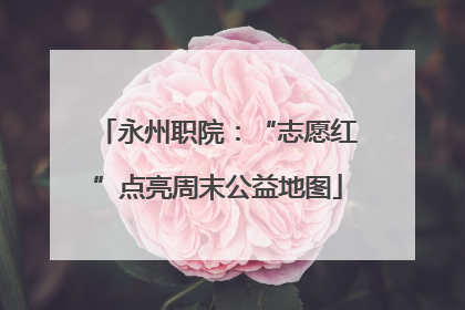 永州职院：“志愿红”点亮周末公益地图
