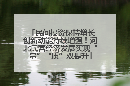 民间投资保持增长 创新动能持续增强！河北民营经济发展实现“量”“质”双提升