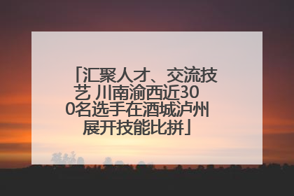 汇聚人才、交流技艺 川南渝西近300名选手在酒城泸州展开技能比拼
