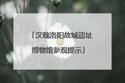 汉魏洛阳故城遗址博物馆参观提示