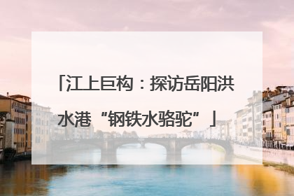 江上巨构：探访岳阳洪水港“钢铁水骆驼”