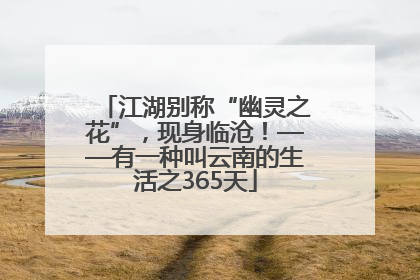 江湖别称“幽灵之花”，现身临沧！——有一种叫云南的生活之365天
