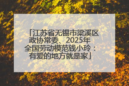 江苏省无锡市梁溪区政协常委、2025年全国劳动模范钱小玲：有爱的地方就是家