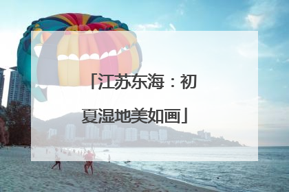 江苏东海：初夏湿地美如画