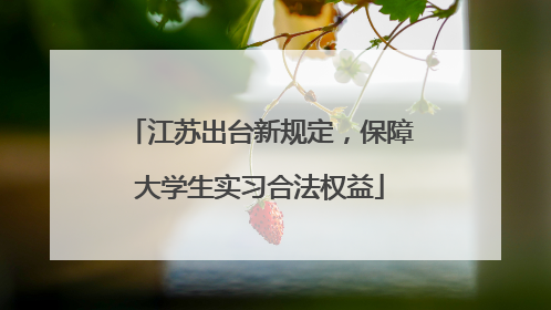 江苏出台新规定，保障大学生实习合法权益