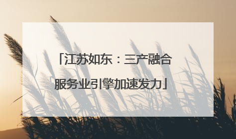 江苏如东：三产融合 服务业引擎加速发力