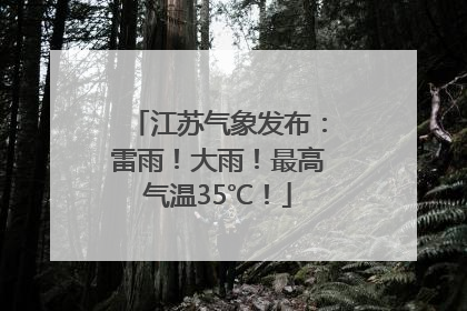 江苏气象发布：雷雨！大雨！最高气温35℃！