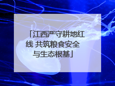 江西严守耕地红线 共筑粮食安全与生态根基
