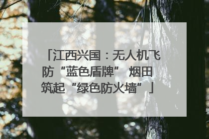 江西兴国：无人机飞防“蓝色盾牌” 烟田筑起“绿色防火墙”