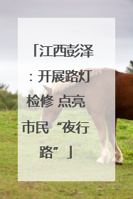 江西彭泽：开展路灯检修 点亮市民“夜行路”