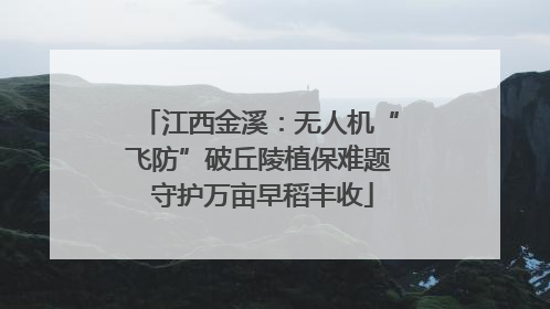 江西金溪：无人机“飞防”破丘陵植保难题 守护万亩早稻丰收