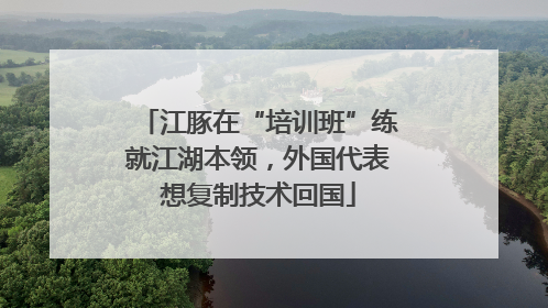 江豚在“培训班”练就江湖本领，外国代表想复制技术回国