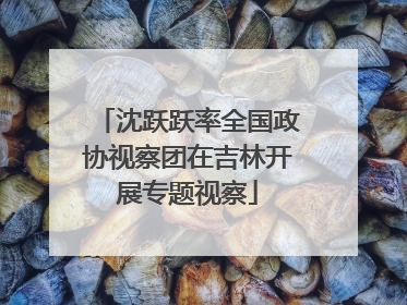 沈跃跃率全国政协视察团在吉林开展专题视察
