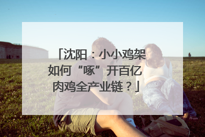 沈阳：小小鸡架如何“啄”开百亿肉鸡全产业链？