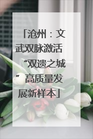 沧州：文武双脉激活“双遗之城”高质量发展新样本