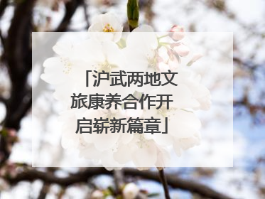 沪武两地文旅康养合作开启崭新篇章
