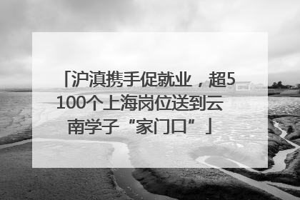沪滇携手促就业，超5100个上海岗位送到云南学子“家门口”