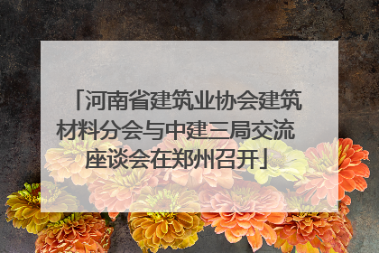 河南省建筑业协会建筑材料分会与中建三局交流座谈会在郑州召开