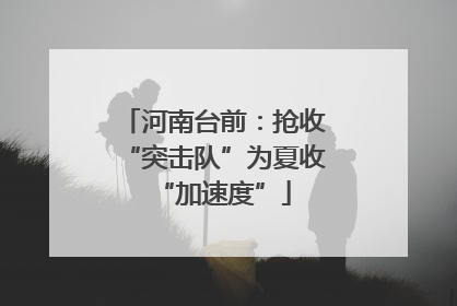 河南台前：抢收“突击队”为夏收“加速度”