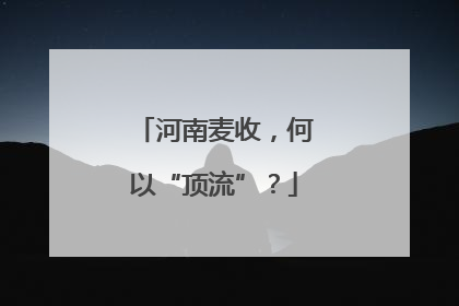 河南麦收，何以“顶流”？