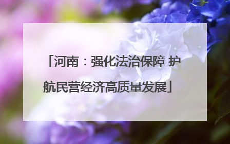 河南：强化法治保障 护航民营经济高质量发展