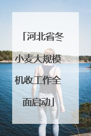 河北省冬小麦大规模机收工作全面启动