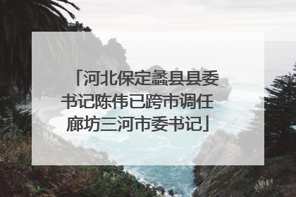 河北保定蠡县县委书记陈伟已跨市调任廊坊三河市委书记