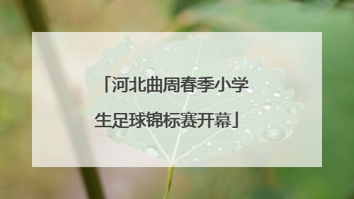 河北曲周春季小学生足球锦标赛开幕