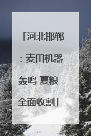 河北邯郸：麦田机器轰鸣 夏粮全面收割
