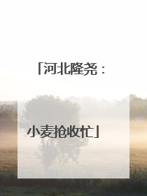 河北隆尧：小麦抢收忙