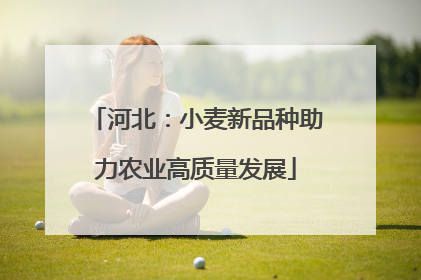 河北：小麦新品种助力农业高质量发展