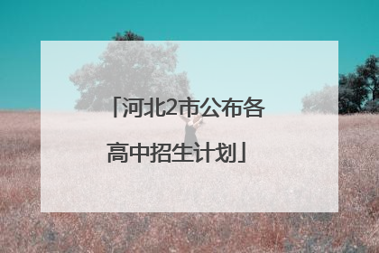 河北2市公布各高中招生计划