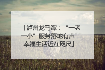 泸州龙马潭：“一老一小”服务落地有声 幸福生活近在咫尺
