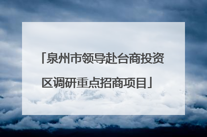 泉州市领导赴台商投资区调研重点招商项目