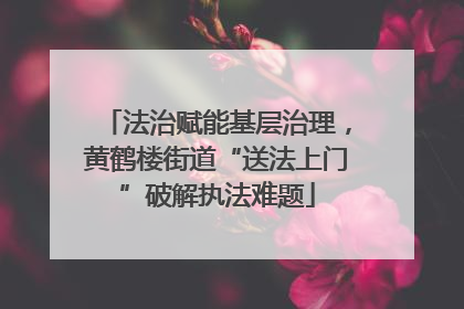 法治赋能基层治理，黄鹤楼街道“送法上门”破解执法难题