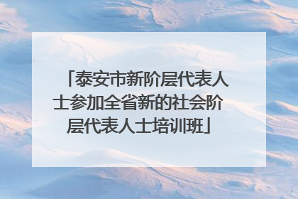 泰安市新阶层代表人士参加全省新的社会阶层代表人士培训班