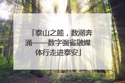 泰山之麓，数潮奔涌——数字强省融媒体行走进泰安