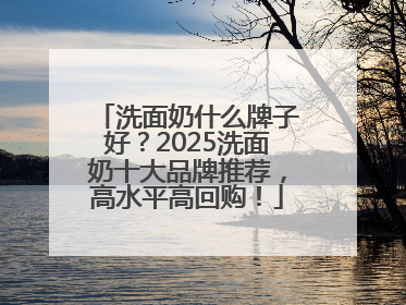 洗面奶什么牌子好？2025洗面奶十大品牌推荐，高水平高回购！