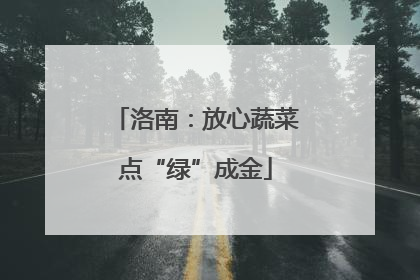 洛南：放心蔬菜点“绿”成金