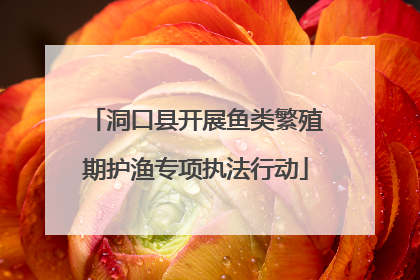 洞口县开展鱼类繁殖期护渔专项执法行动